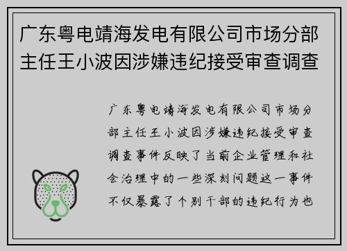 广东粤电靖海发电有限公司市场分部主任王小波因涉嫌违纪接受审查调查