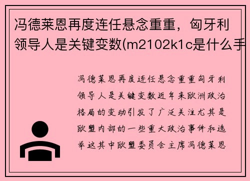 冯德莱恩再度连任悬念重重，匈牙利领导人是关键变数(m2102k1c是什么手机)
