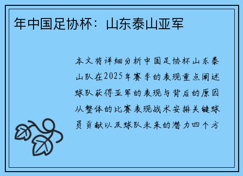 年中国足协杯：山东泰山亚军